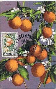 TIMBRES DE LA FOIRE D ORAN 1952   (10)
